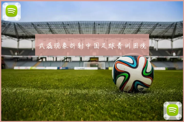 武磊现象折射中国足球青训困境