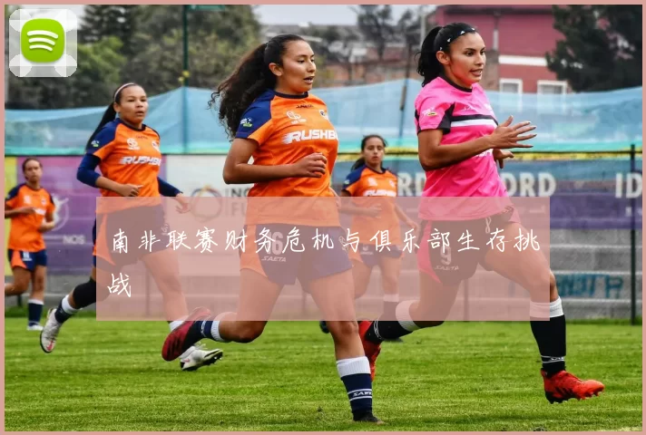 南非联赛财务危机与俱乐部生存挑战