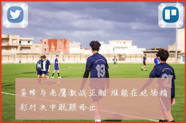 黄蜂与老鹰激战正酣 谁能在这场精彩对决中脱颖而出