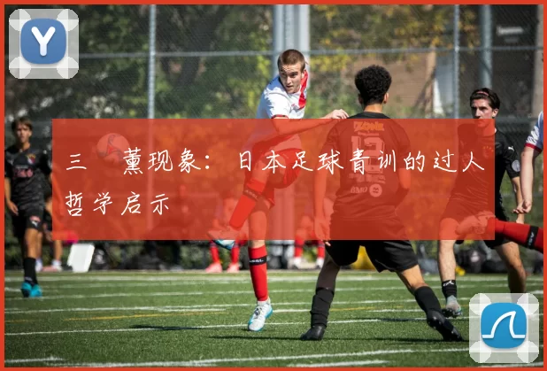 三笘薰现象：日本足球青训的过人哲学启示