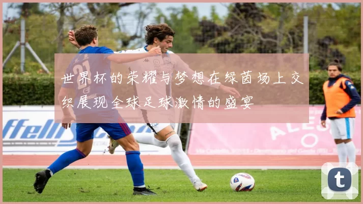 世界杯的荣耀与梦想在绿茵场上交织展现全球足球激情的盛宴