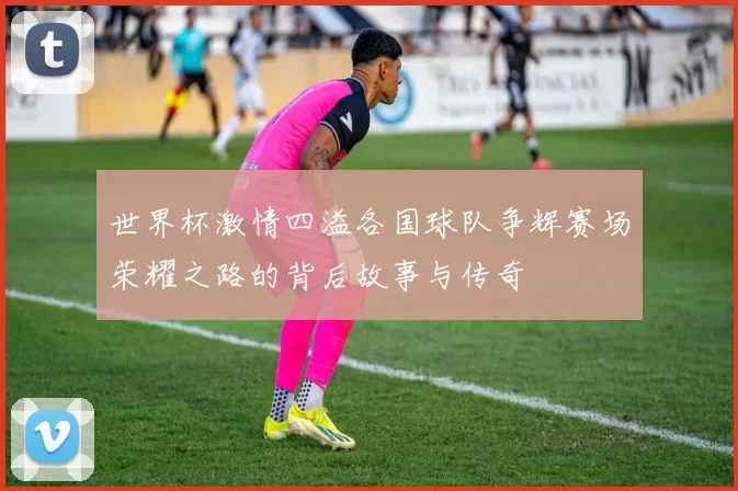世界杯激情四溢各国球队争辉赛场荣耀之路的背后故事与传奇