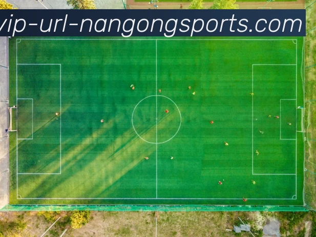 数据防护可视化